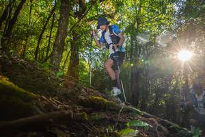 BIB: 3377
                            <button type="button" onclick="openModal(16015615)" class="btn btn-primary btn-sm float-right btn-popup" data-toggle="modal" data-target=".modal-high-quality">
                        <i class="fas fa-shopping-cart"></i> Add to Cart
                    </button>
                                            <button type="button" onclick="isThisMe(16015615, true)" class="btn btn-success btn-sm float-right btn-popup btn-isme hidden" data-toggle="tooltip" data-placement="bottom" title="นี่คือรูปของคุณใช่ไหม คลิกที่นี่เพื่อเอาเข้าอัลบั้ม">
                        <i class="fas fa-plus"></i> Add to album
                    </button>
                    <button type="button" onclick="isThisMe(16015615, false)" class="btn btn-warning btn-sm float-right btn-popup btn-isnotme hidden">
                        <i class="fas fa-ban"></i> Remove from album
                    </button>